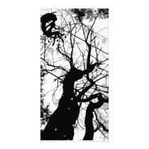 FAIRY WEBBY TREE BUBBLES B&W photo cards
