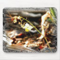 Fairy Wings Bloom mousepads by littlewingdesign Fairy Wings Bloom mousepads