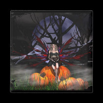 Fairy Witch-2012 Design magnets