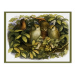 "Fairy with Owls" by Doyle - Postcard