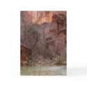 Fairyland cards