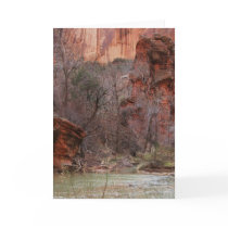 Fairyland cards