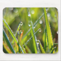Fairyland ~ Macro Grass & Dew Drops Abstract mousepads