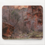 Fairyland Mouse Pads