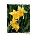 Fairyland posters