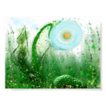 Fairyland  Wonders