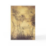 Fairy's Tightrope by Arthur Rackham Cards