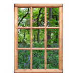window, scenes, views, spring, garden, bluebells,
