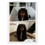 FAITH BEFORE AND AFTER CARD