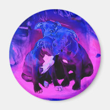 Faith Hope & Charity, Abused Pit Bull Dogs Refrigerator Magnet