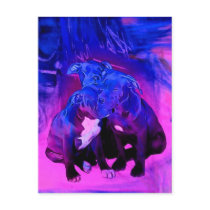 Faith Hope & Charity, Abused Pit Bull Dogs Postcards