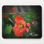 Faith, Hope, Life Mouse Pads