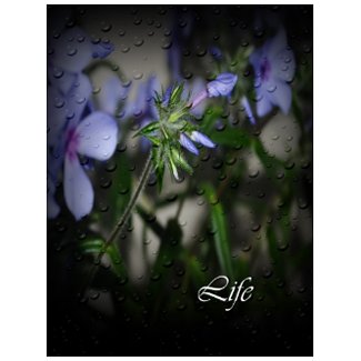 Faith, Hope, Life postcard