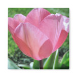 Faith Matters Fridge Magnet Faith Matters Fridge Magnet