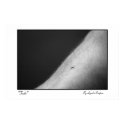 "Faith" Photograph posters