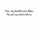 Fake boobs, not death t-shirts