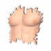 Ladies Baby Doll (Fitted)