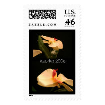 Fake Orchids  postage