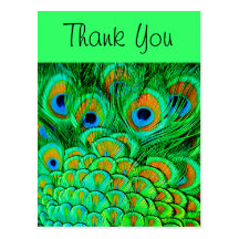 Fake Peacock Feathers Abstract Nature Pattern Postcard