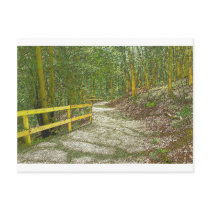 Fake Road Post Cards