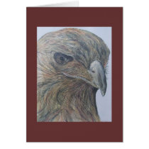 falcon cards