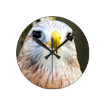 Falcon Clock wall clocks