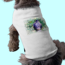 Falcon Doggie Tee pet clothing