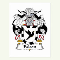 Falcon Family Crest Postcard