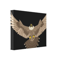 Falcon Gallery Wrapped Canvas