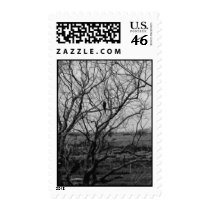 Falcon Hunting by Leslie Peppers Postage Stamps