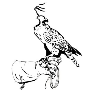 sewing gloves by falconry