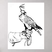 Falcon on Glove Poster