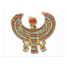 Falcon pectoral post cards