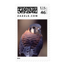 falcon postage by WorldDesign falcon postage