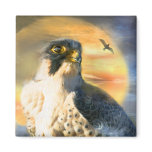 Falcon Sun Art Magnet