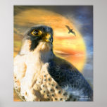 Falcon Sun Art Poster/Print