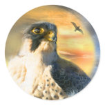 Falcon Sun Art Sticker