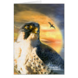 Falcon Sun ArtCard