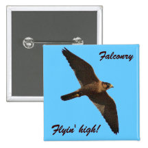 Falconry  - Flyin' high! Buttons