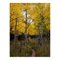 Fall2 posters