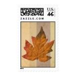 Fall -1 postage