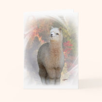 Fall Alpaca Card
