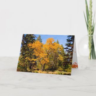 Fall and Thanksgiving Card card