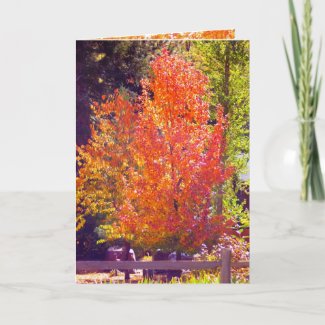 Fall and Thanksgiving Card 2 card