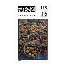 Fall Apples Postage