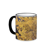 Fall aspen tree coffee mug