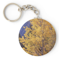 Fall aspen tree keychain