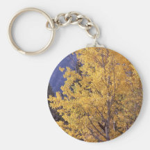 Fall aspen tree keychain