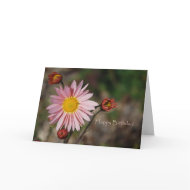 Fall Aster Birthday card