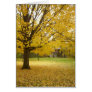 FALL AT GLENHURST GALLERIES GREETING CARD